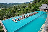 Relaxing on floating sunbeds in a luxury pool on Koh Phangan, Thailand.