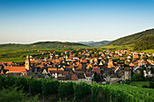 Village and vineyards at sunrise, Riquewihr, Alsace, France
