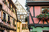 colorful half-timbered houses, Riquewihr, Alsace, France