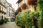 alley with colorful half-timbered houses and flowers, Eguisheim, Alsace, France