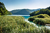 Blick vom Ufer der Plitvicer Seen, im Plitvicer Nationalpark - Kroatien, Plitvice