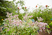 Herb garden