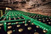 Im Keller am Berg gelagertes Bier in Kisten, Erlangen, Region Franken, Bayern, Deutschland