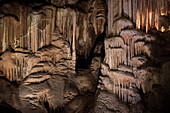 gewaltige Tropfsteine – Stalagtiten und Stalagmiten – in den Höhlen von Postojna, Slowenien, Europa