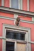 an heruntergekommener Hausfassade hängt Hirsch mit halbem Geweih, UNESCO Hansestadt Wismar, Mecklenburg-Vorpommern, Deutschland