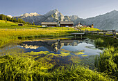 Teich auf der Walder Alm, Huderbankspitze, Karwendel, Tirol, Österreich