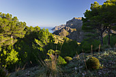 Blick zum Cap Farrutx, Betlem, Mallorca, Balearen, Spanien