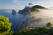 Formentor Halbinsel, Mallorca, Balearen, Spanien