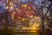 Weihnachtlich geschmückte Bäume im Park vor dem Rathaus, 1. Bezirk, Wien, Österreich