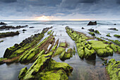 Rocky beach. Barrika, Biscay, Basque Country, Spain, Europe.