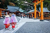 Pilgrims in Kumano Nachi Taisha Grand Shire, Kumano Kodo, Nakahechi route, Wakayama, Kinki, Japan.