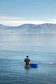 Fishing for octopus in the bay of Nafplio, Argolid, Peloponnese, Greece.