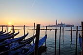 Gondolas in St. Mark´s square with Saint George´s island at sunrise, Venice, Italy.