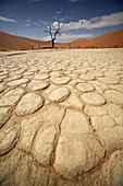 cracks and patterns in the dry surface and dead trees at Deadvlei, Namib Naukluft Park, Namibia, Africa.
