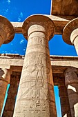Column Reliefs, Hypostyle Hall, The Ramesseum (or Mortuary Temple of Ramese II), Luxor, West Bank, Nile Valley, Egypt