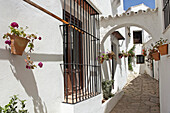 Typical alley, El Gastor, Cadiz-province, Region of Andalusia, Spain, Europe.