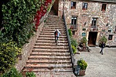 Stairs, Sanctuary of Santa Maria de Montgrony, Ripolles, Catalonia, Spain