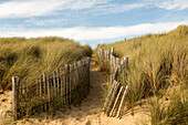 Locmariaquer, fenced beach access through grassy dunes, Côte des Mégalithes, Brittany, France