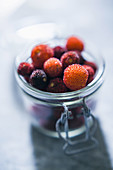 Arbutus berries.