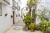 Frigiliana, La Axarquia - Costa del Sol, Malaga province, Spain, Europe.