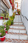 Street in the white hill village of Mijas, Costa del Sol, Andalusia, Spain, Europe