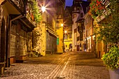 Old town in Colmar, Alsace, France, Europe.