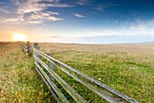 Dartmoor National Park, Holwell, Devon, England, United Kingdom, Europe.