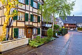 Medieval town Allschwil, Basel, Canton Basel-Landschaft, Switzerland.