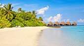 Maldives, Ari Atol, Indian Ocean.