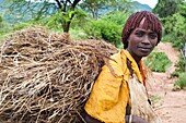 Woman belonging to the Banna tribe. She is carrying fodder. Omo valley in Ethiopia.