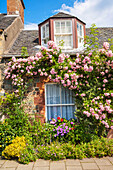 Beautiful old cottage with climbing roses in Scotland.