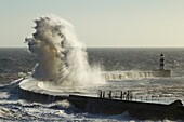 Storm waves crashing over harbour wall at Seaham, County Durham, north east coast of England, United Kingdom.