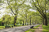 Hyde Park, Broad Walk, London, UK.