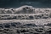 Large waves, South Coast, Iceland.