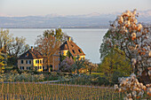 Seafront villa, Lake Constance, Hagnau am Bodensee