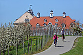Fahrradfahrer vor Schloß Kirchberg, Immenstaad