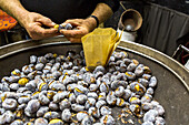 vendor, selling roasted chestnuts outside the Alba Truffle Market, autumn, Alba, Piedmont, Cuneo, Italy