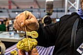 weighing white truffles at the Alba Truffle Fair, Market, scales, Alba, Piedmont, gourmet, luxury, Cuneo, Italy