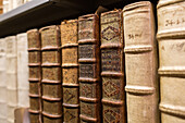shelves of old leather-bound books, Herzog August  Library, Wolfenbüttel, Lower Saxony, Germany