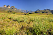 Rock formation in Garden Castle with Rhino Peak in background, Garden Castle, Mzimkhulu Wilderness Area, Drakensberg, uKhahlamba-Drakensberg Park, UNESCO World Heritage Site Maloti-Drakensberg-Park, KwaZulu-Natal, South Africa