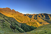 Cathkin Peak and Sterkhorn above valley of Sterkspruit, Monks Cowl, Mdedelelo Wilderness Area, Drakensberg, uKhahlamba-Drakensberg Park, UNESCO World Heritage Site Maloti-Drakensberg-Park, KwaZulu-Natal, South Africa