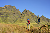Frau beim Wandern geht auf Cathkin Peak und Sterkhorn zu, Contour Path, Monks Cowl, Mdedelelo Wilderness Area, Drakensberge, uKhahlamba-Drakensberg Park, UNESCO Welterbe Maloti-Drakensberg-Park, KwaZulu-Natal, Südafrika