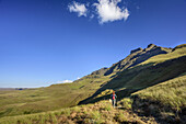 Frau beim Wandern geht auf Contour Path, Sterkhorn im Hintergrund, Contour Path, Monks Cowl, Mdedelelo Wilderness Area, Drakensberge, uKhahlamba-Drakensberg Park, UNESCO Welterbe Maloti-Drakensberg-Park, KwaZulu-Natal, Südafrika