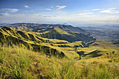 Blick auf Grasland am Little Berg, vom Sterkhorn, Sterkhorn, Monks Cowl, Mdedelelo Wilderness Area, Drakensberge, uKhahlamba-Drakensberg Park, UNESCO Welterbe Maloti-Drakensberg-Park, KwaZulu-Natal, Südafrika