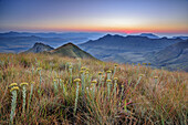 Sonnenaufgang über Little Berg, Tugela Valley, Amphitheatre, Royal Natal, Drakensberge, uKhahlamba-Drakensberg Park, UNESCO Welterbe Maloti-Drakensberg-Park, KwaZulu-Natal, Südafrika