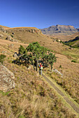 Frau beim Wandern mit Bushman's River und Giant's Castle im Hintergrund, Giant's Castle, Drakensberge, uKhahlamba-Drakensberg Park, UNESCO Welterbe Maloti-Drakensberg-Park, KwaZulu-Natal, Südafrika