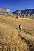 Woman hiking towards Giant's Castle and Longwall, Giant's Castle, Drakensberg, uKhahlamba-Drakensberg Park, UNESCO World Heritage Site Maloti-Drakensberg-Park, KwaZulu-Natal, South Africa