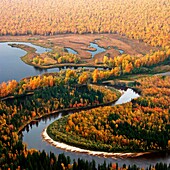 Autumn in Siberia. Top view.