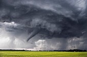 Tornado forms under long-lived supercell in northern Kansas, May 24, 2004. This supercell produced upwards of 15 tornadoes in just a few hours. It frequently had more than one tornado on the ground at the same time.