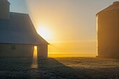 Sun rays shine through barn window on foggy morning in western Iowa.